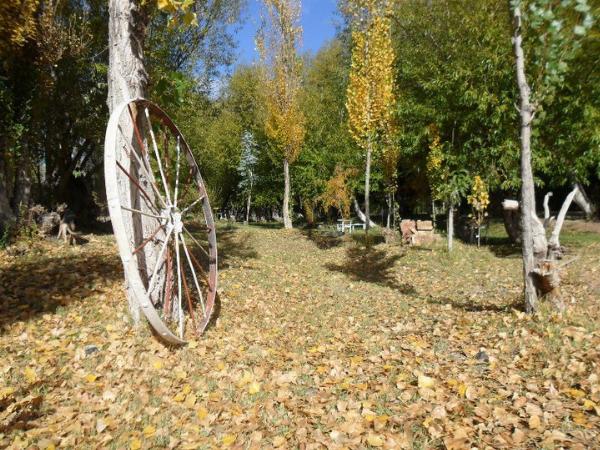 Photo of the campground Los Alazanes, Centenario, Neuquén, Argentina