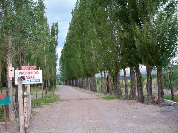 Photo of the campground Rincón de los Andes, Uspallata, Mendoza, Argentina