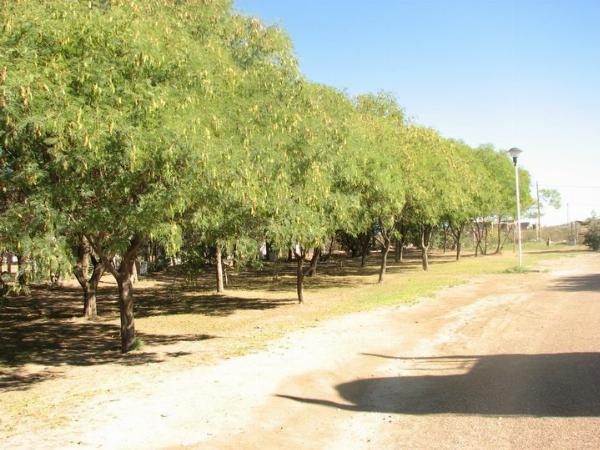 Photo of the campground SOSUNC, Las Grutas, Río Negro, Argentina