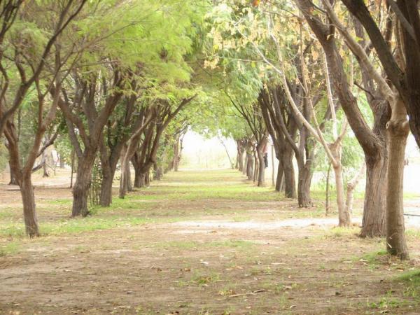 Photo of the campground SOSUNC, Las Grutas, Río Negro, Argentina