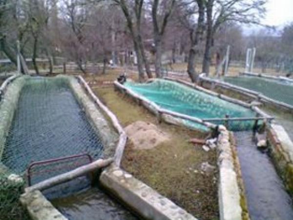 Photo of the campground Chimen Aike, Río Pico, Chubut, Argentina