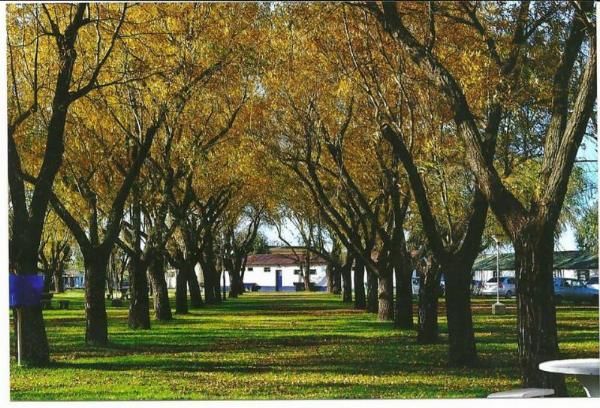 Foto del camping Club de Pescadores, Junín, Buenos Aires, Argentina
