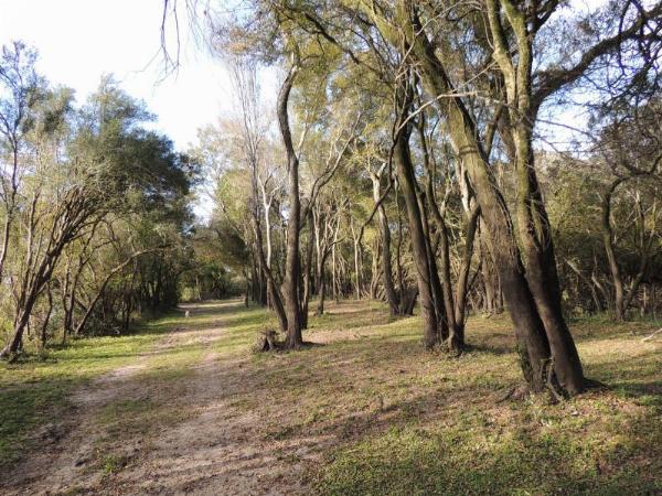 Foto del camping El Soñado, Gualeguaychú, Entre Ríos, Argentina