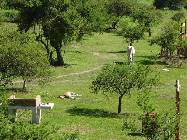 Foto del camping Hakuna Matata, Alta Gracia, Córdoba, Argentina