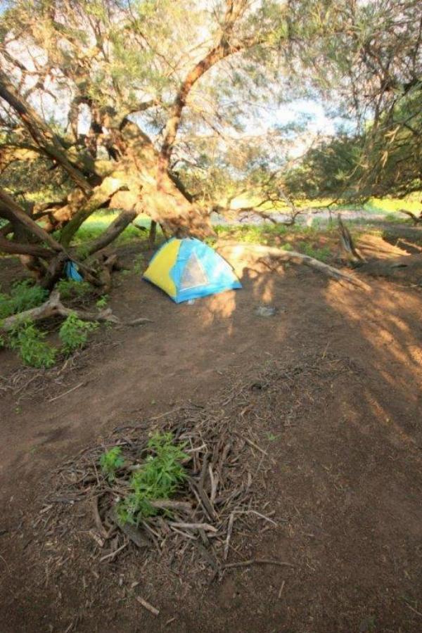 Photo of the campground Los Algarrobos, Nueva Pompeya, Chaco, Argentina