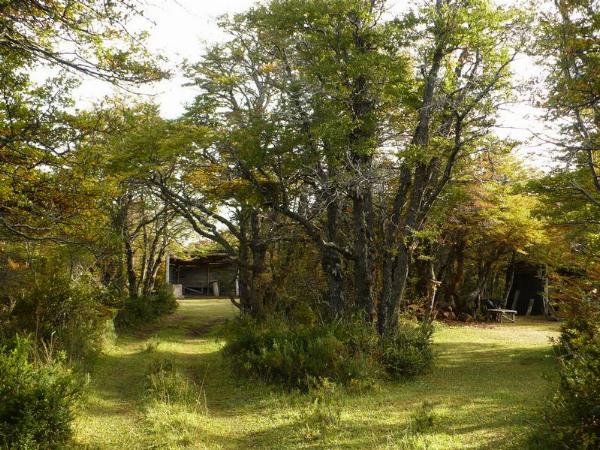 Photo of the campground Nikita, Río Pico, Chubut, Argentina
