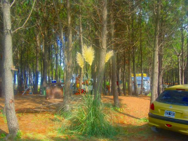 Photo of the campground Paseo del Pinar, Reta, Buenos Aires, Argentina