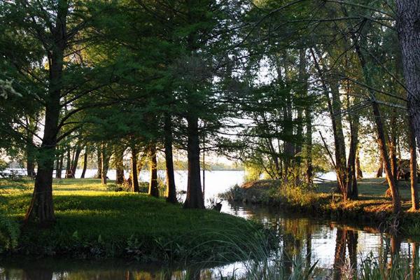 Photo of the campground Costa Talavera, Zárate, Buenos Aires, Argentina