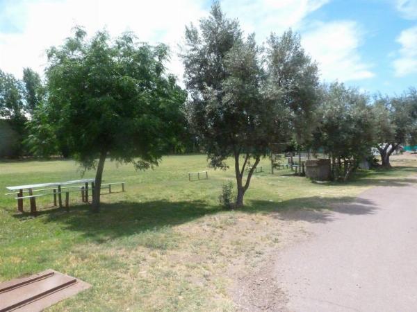 Foto del camping del Este, San Martín, Mendoza, Argentina