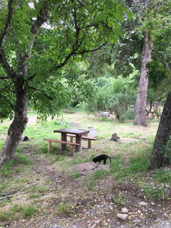 Foto del camping Don Julio, Lago Puelo, Chubut, Argentina