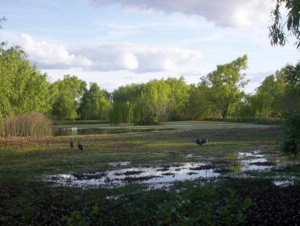 Foto del camping El Mangrullo, Pronunciamiento, Entre Ríos, Argentina