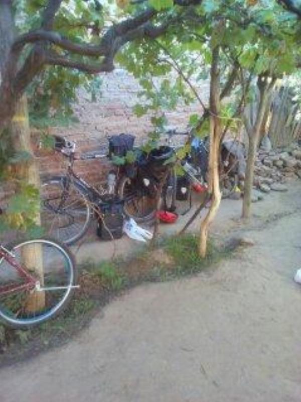 Photo of the campground El Rafa, Cafayate, Salta, Argentina