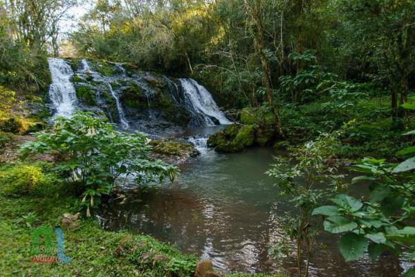 Photo of the campground Haras al Paraíso, El Soberbio, Misiones, Argentina