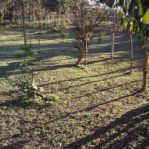 Photo of the campground Teresita, El Soberbio, Misiones, Argentina
