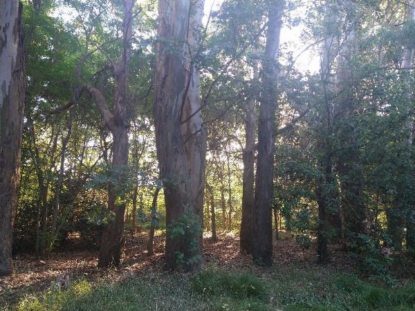 Foto del camping Biohuellas, Luján, Buenos Aires, Argentina
