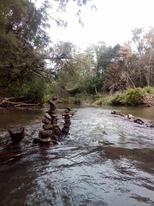 Foto del camping Don Alejandro Balneario, Bompland, Misiones, Argentina