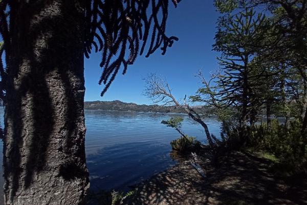 Photo of the campground El Verde Del Moquehue, Moquehue, Neuquén, Argentina