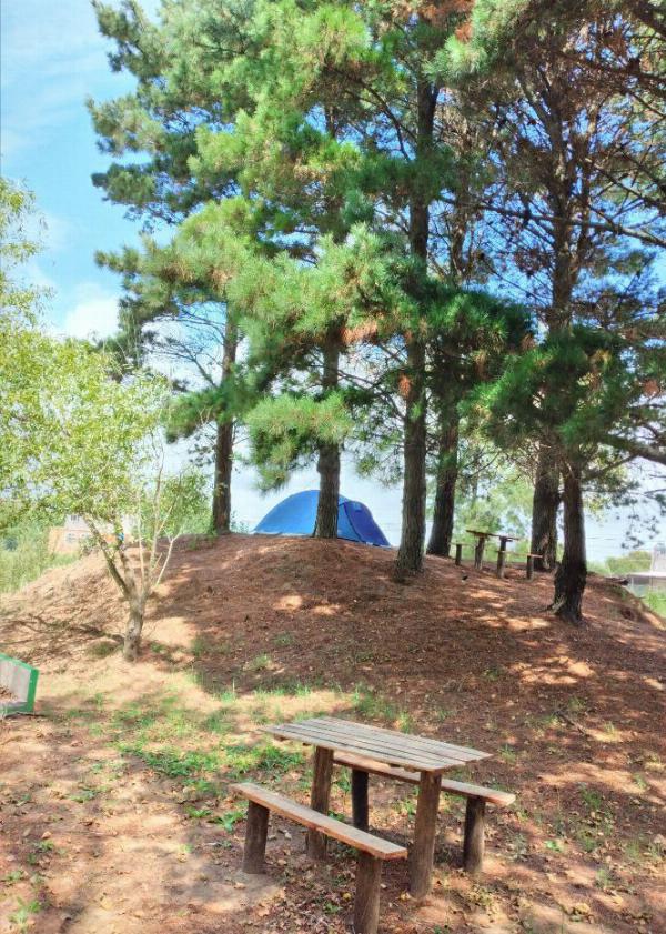 Foto del camping La Terminal, Mar de Ajó, Buenos Aires, Argentina
