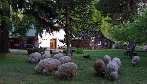 Photo of the campground El Refugio del Lago, Epuyén, Chubut, Argentina