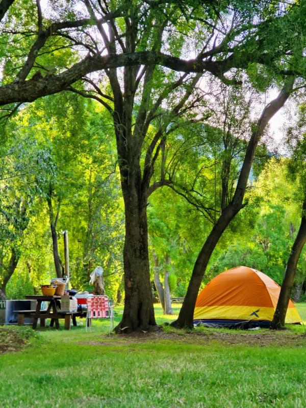 Photo of the campground Los Maitenes, Parque Nacional Los Alerces, Chubut, Argentina