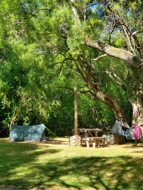 Photo of the campground Los Maitenes, Parque Nacional Los Alerces, Chubut, Argentina