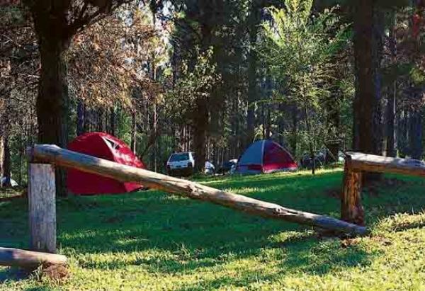 Photo of the campground Tannenwald, Los Reartes, Córdoba, Argentina