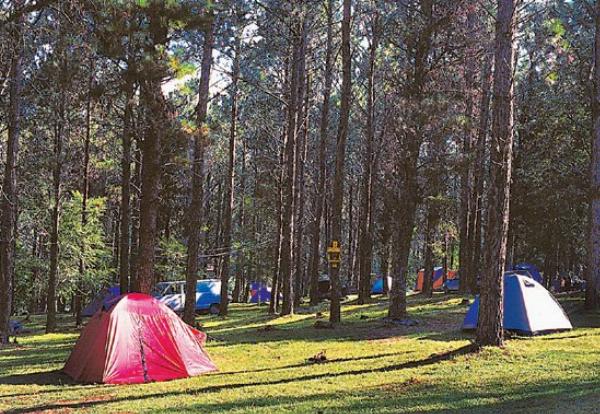Photo of the campground Tannenwald, Los Reartes, Córdoba, Argentina