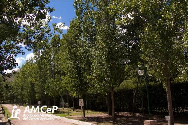 Foto del camping Complejo Recreativo AMCEP, Valle Hermoso, Córdoba, Argentina