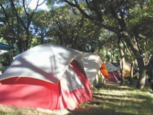 Foto del camping El Tala, Villa Cura Brochero, Córdoba, Argentina