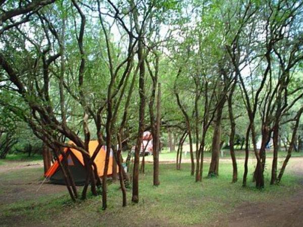 Foto del camping Agreste, Colón, Entre Ríos, Argentina