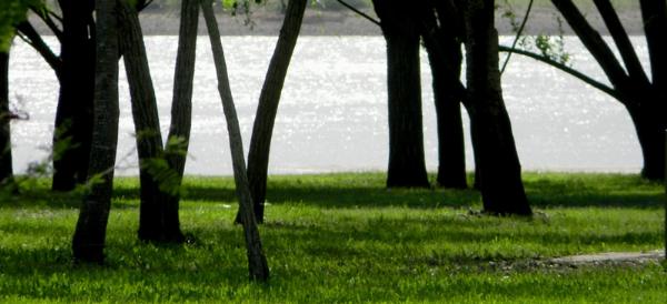 Photo of the campground El Sirirí, Federación, Entre Ríos, Argentina