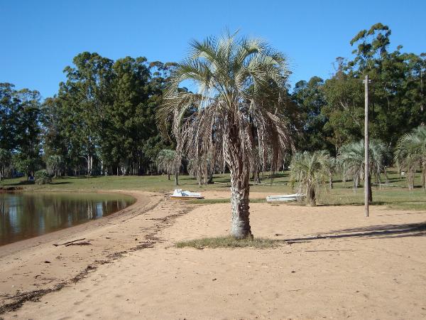 Foto del camping Las Palmeras, Concordia, Entre Ríos, Argentina