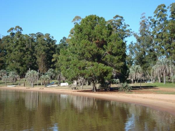 Foto del camping Las Palmeras, Concordia, Entre Ríos, Argentina