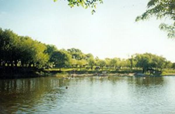 Photo of the campground Los Pinos, Gualeguaychú, Entre Ríos, Argentina