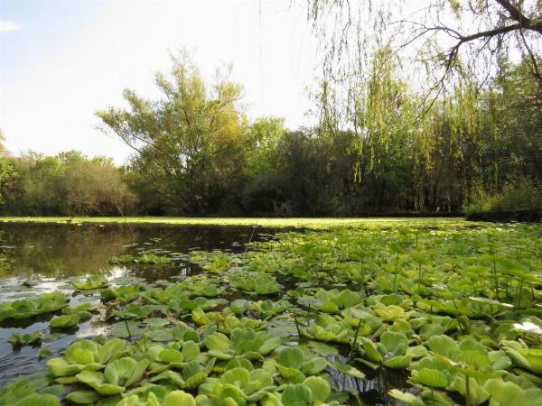 Foto del camping Punta Sur, Gualeguaychú, Entre Ríos, Argentina