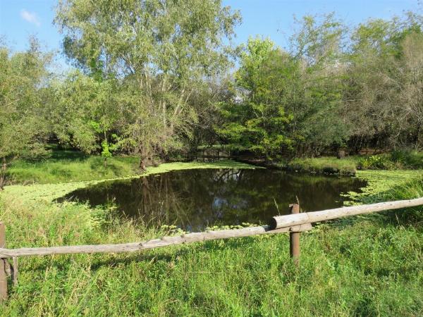 Foto del camping Punta Sur, Gualeguaychú, Entre Ríos, Argentina