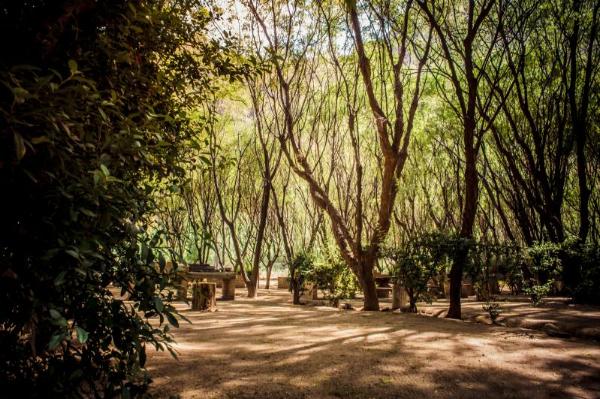 Photo of the campground Carmen, San Rafael, Mendoza, Argentina