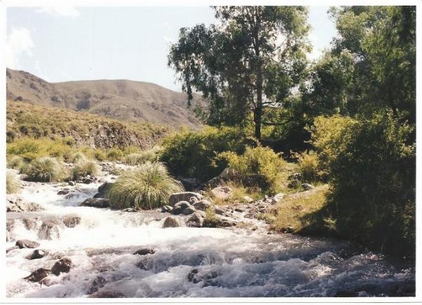 Foto del camping El Montañes, Potrerillos, Mendoza, Argentina