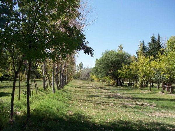 Photo of the campground Pique Club, General Alvear, Mendoza, Argentina