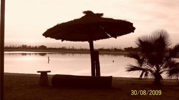 Photo of the campground Pique Club, General Alvear, Mendoza, Argentina