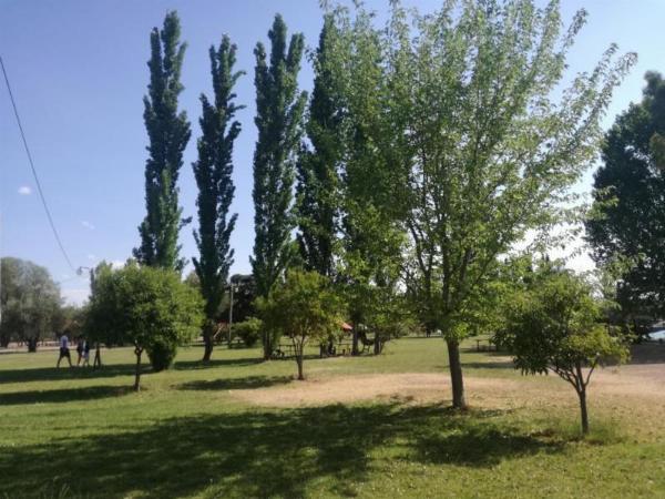 Photo of the campground Viña de Vieytes, Maipú, Mendoza, Argentina